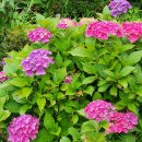 선원2길 이미지