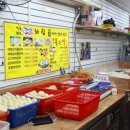 코끼리 왕만두 이미지