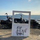 투어썸 이미지