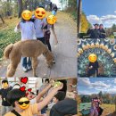 LH행복꿈터 춘천YMCA장학지역아동센터 이미지