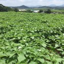 연한가지공동체 이미지