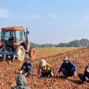 표장농장 이미지