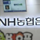 주식회사 엔에이치농협무역 | 2024년 농협 계열사 정보 완벽 정리