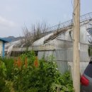 청산면-1 이미지