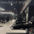 스테디휘트니스안일점