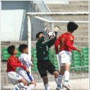전농16 Daum카페