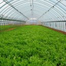 전병호 농장 이미지