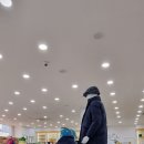 루이까스텔 이미지