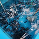 조부장바다낚시터 이미지