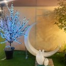 한살림 북구매장 | 광주캠핑식당 캠핑을더하다 용전점 도심 속 캠핑 힐링 스팟