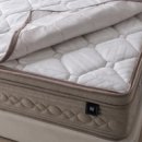 금성파크 이미지