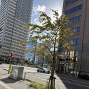 토템상사 이미지