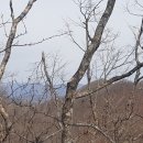 용산리 경로당 이미지