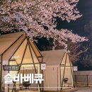 솔바베큐 | 이천 바베큐 솔바베큐 도심 속 벚꽃캠핑감성 글램핑 후기