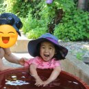 루소의숲유치원 | 홀호일상)감사한 이웃님, 꼭꼭이 시골놀이터+시골육아 시작?