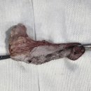 24시 양주 힐 동물의료센터 이미지