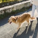 마린숲 동물병원 이미지