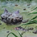 원천공원 이미지