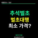 초대1리 | 추석벌초 너무 힘들어 벌초대행 가격 알아봤습니다.
