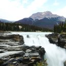 제스퍼(JASPER) 이미지