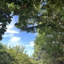 화태바다 이미지