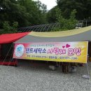 힐탑세탁소 | 진짜 호두나무가 있고 수영장이 정말 좋은 천안 호두나무 캠핑장[텐트세탁소 사랑채 모임]