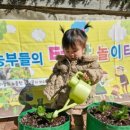 꿈터어린이집-놀이터 이미지