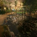 태안 오키드타운 식물원 이미지