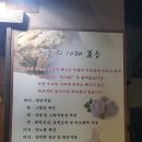 홍스취킨 네이버블로그