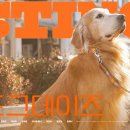 도그데이즈 이미지