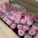 양천어르신 요양센터 이미지