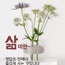 오늘날 3대 성자는 이미지