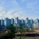 아라큰약국 이미지