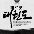 미르태권도 아카데미 이미지