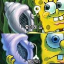 김밥천국 교하점 | 찐만두의 계절