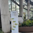 여미지식물원 | [제주 서귀포 / 여미지식물원] 제주 서귀포 가볼 만한 곳! 여미지 식물원 만족 후기