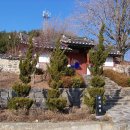 서천향교 Daum카페