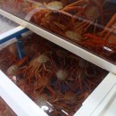 한마음광장 바다마트 이미지