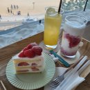 소울메이트 | [부산 당일치기 뚜벅이 여행 후기]소울메이트랑 웃고, 먹고, 식폭행 당하기. 너무 좋았던 하루