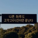 (유)나눔푸드 홍삼공장 | 찾아라 비밀의 열쇠 🗝️