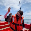 이뉴펜션2 | 4월 봄에 태안 안면도 가볼만한곳 봄 꽃구경 꽃축제 당일치기 여행코스 추천