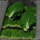 수경농장 이미지