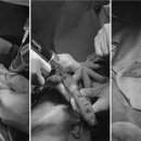 라온메디칼 이미지