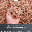 소래포구직판 이미지