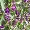 용서경로당 이미지