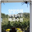 배배농장 이미지