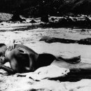 하로홈즈 이미지