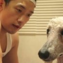 사랑애견 이미지