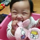 정인 이미지