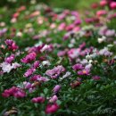 신구대학교 이미지